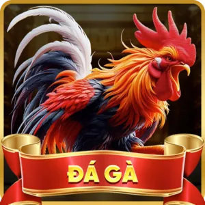 Cá cược Đá Gà Sunwin